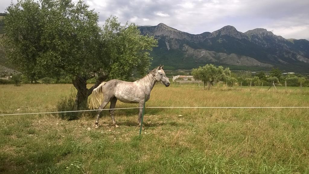 B&B Eolo Morano Calabro Exteriér fotografie